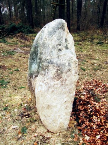 Der Gedenkstein